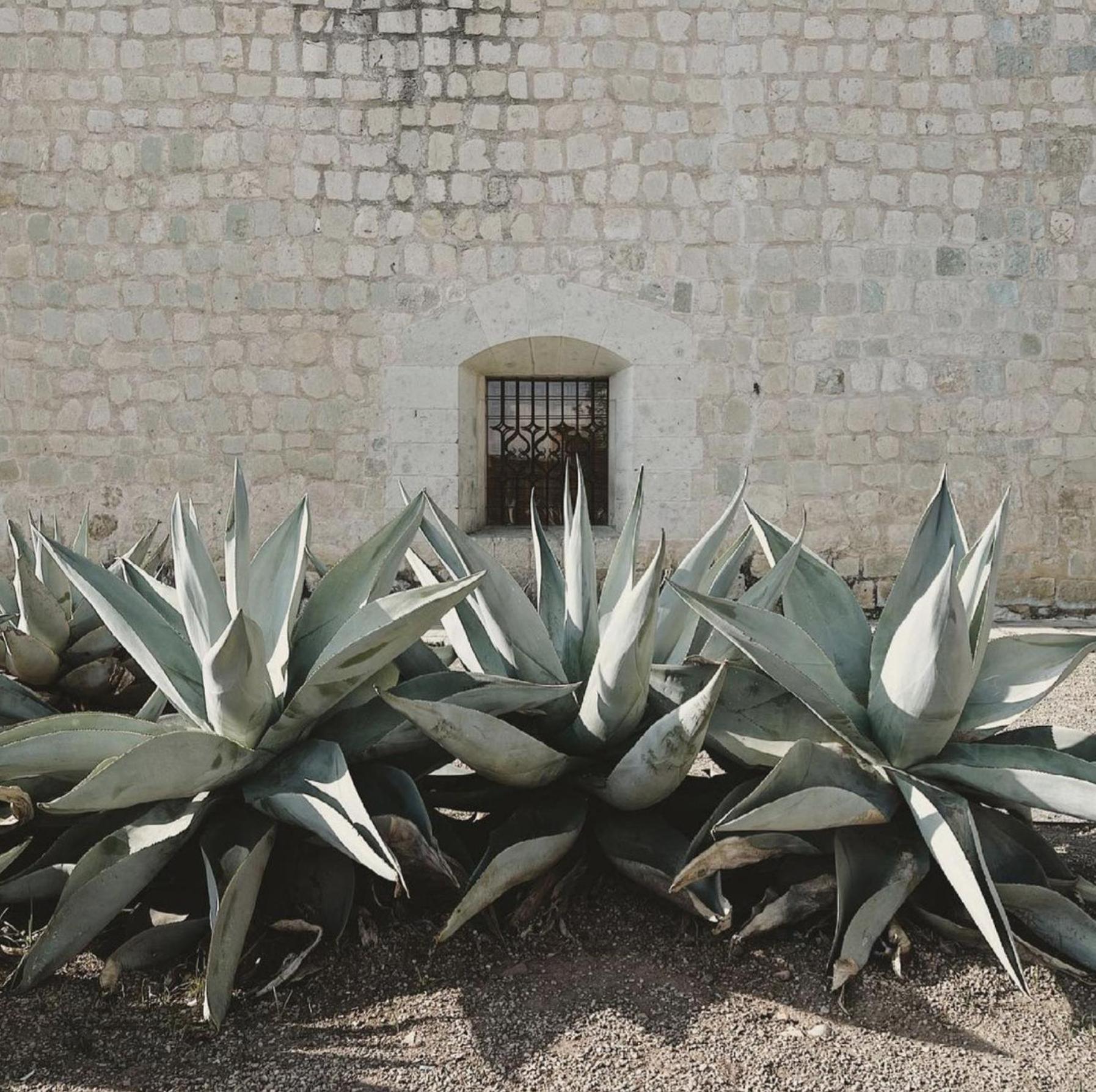 Casa Bonita Hotel & Cocina Oaxaca Luaran gambar